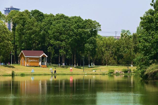 成都北湖公園展現生態魅力與休閑新風尚的最新動態報道