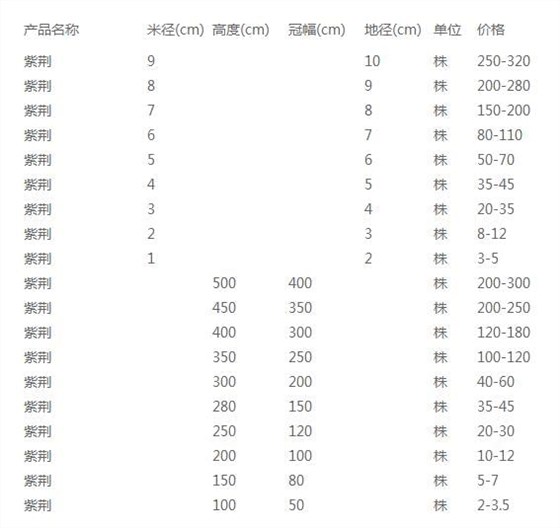 最新苗木價(jià)格及趨勢(shì)分析概覽